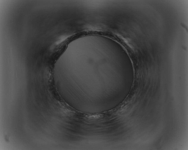 X0000093121303200710171236