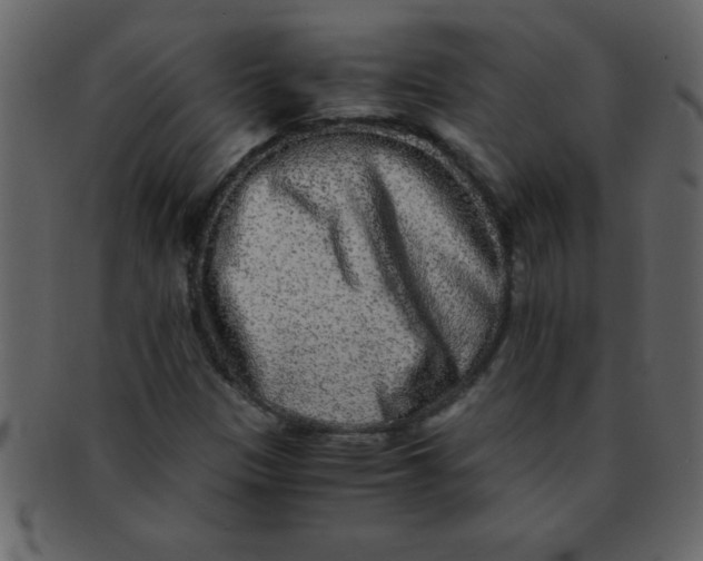 X0000093121305200710171237