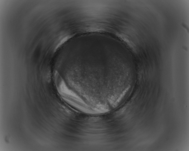 X0000093121306200710171237