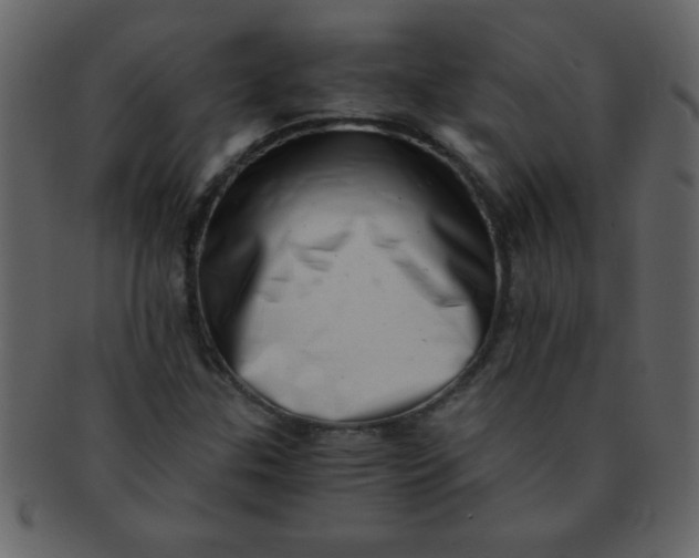 X0000093121307200710171237