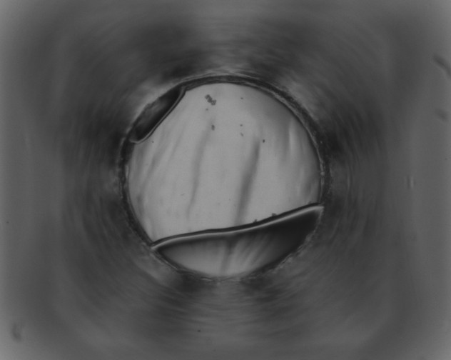 X0000093121308200710171237