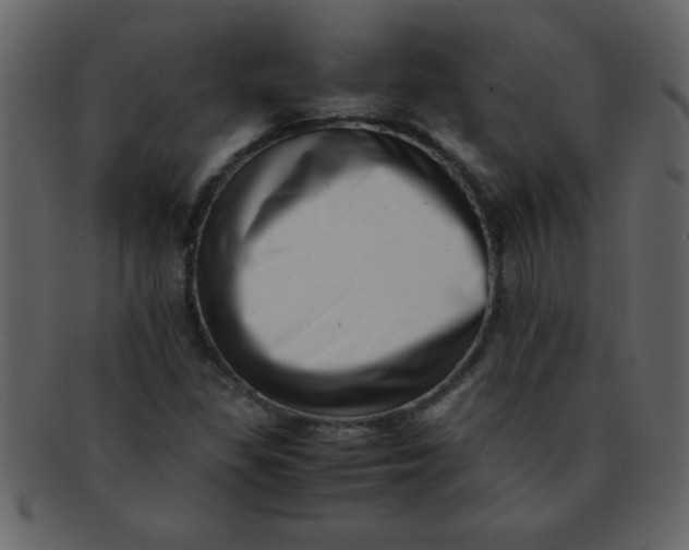 X0000093121309200710171237