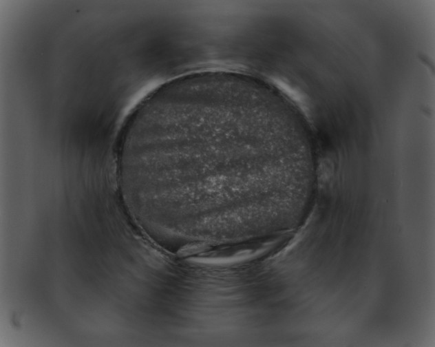 X0000093121310200710171237