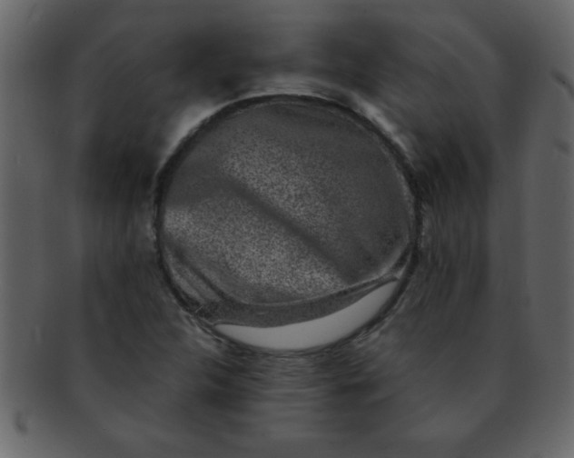 X0000093121312200710171237