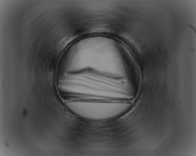 X0000093121313200710171237