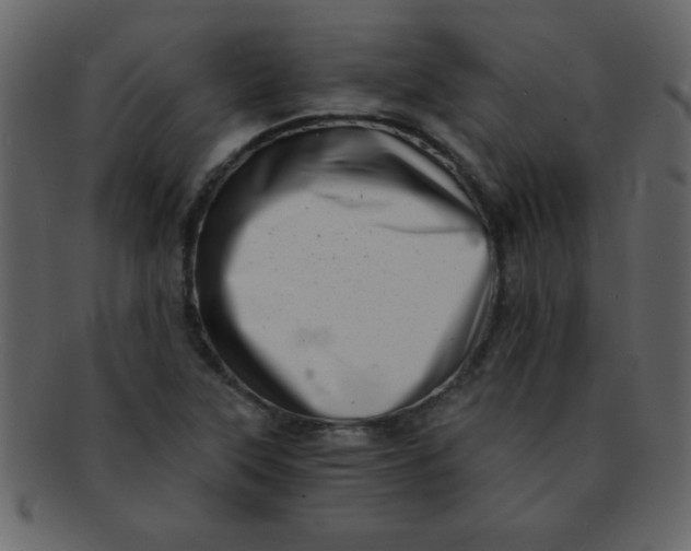 X0000093121315200710171237