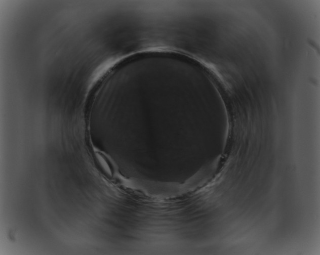 X0000093121319200710171237