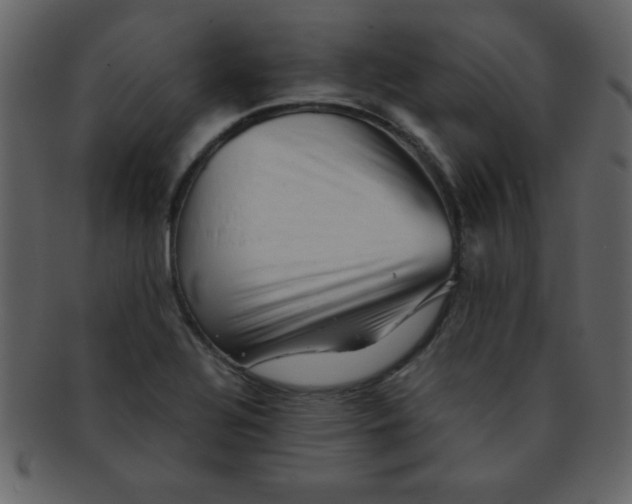 X0000093121320200710171237