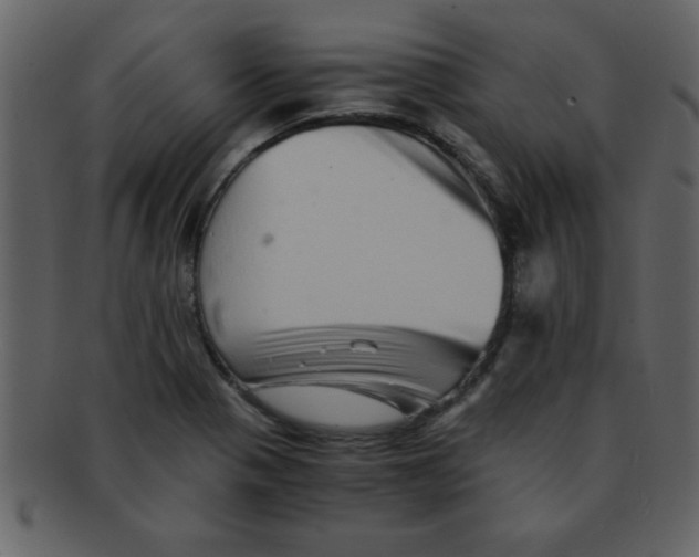 X0000093121321200710171237