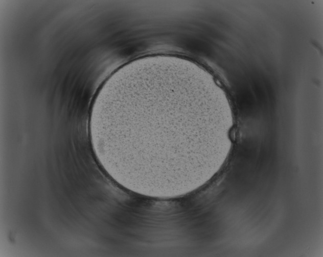 X0000093121322200710171237