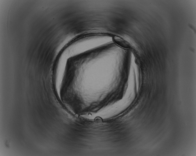 X0000093121325200710171237