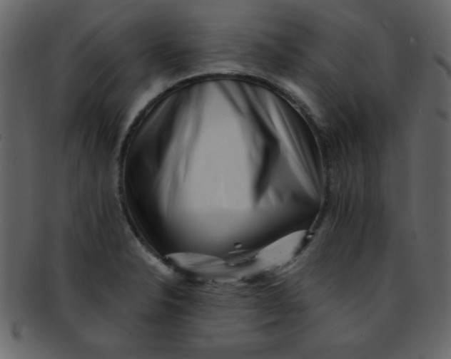 X0000093121326200710171237