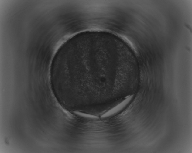 X0000093121327200710171237