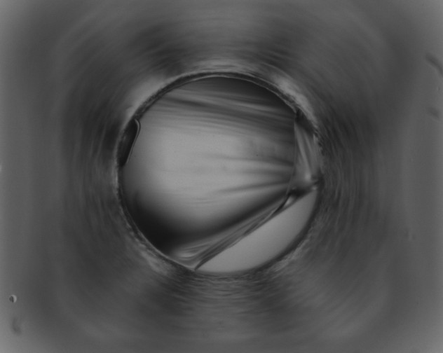 X0000093121328200710171237