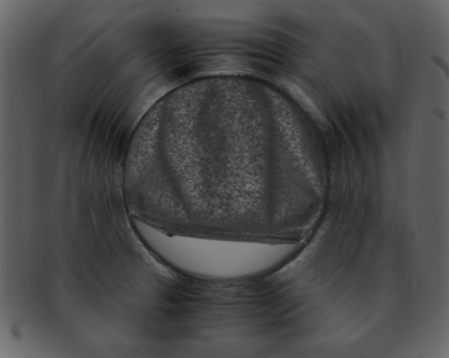 X0000093121329200710171237