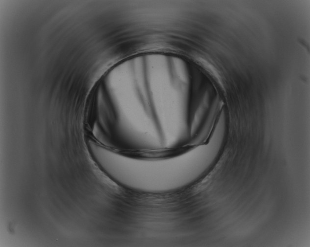 X0000093121330200710171237