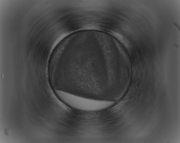 X0000093121331200710171237