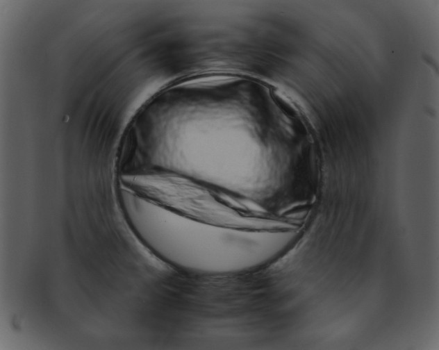 X0000093121333200710171237