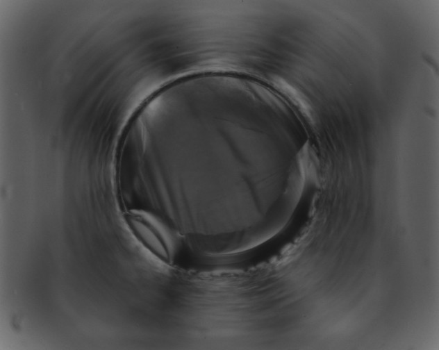 X0000093121334200710171237