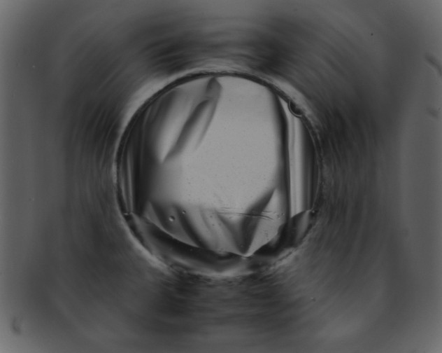 X0000093121335200710171237