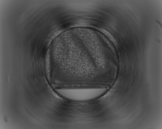 X0000093121337200710171237