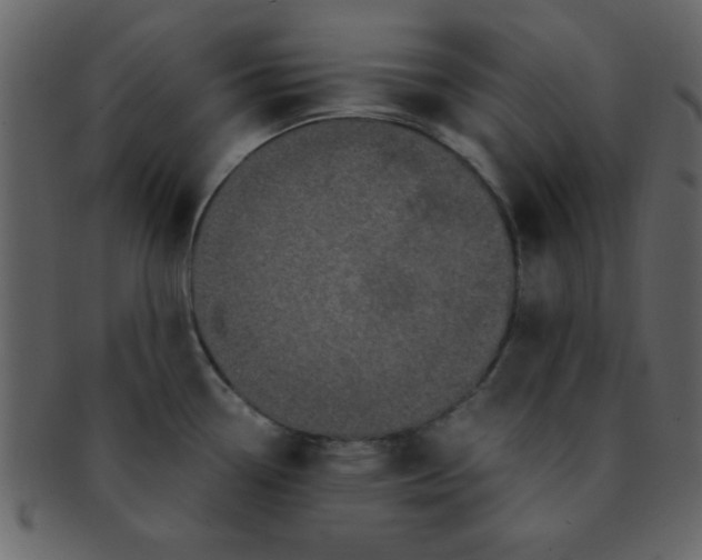 X0000093121338200710171237