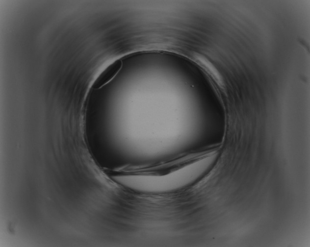 X0000093121340200710171237