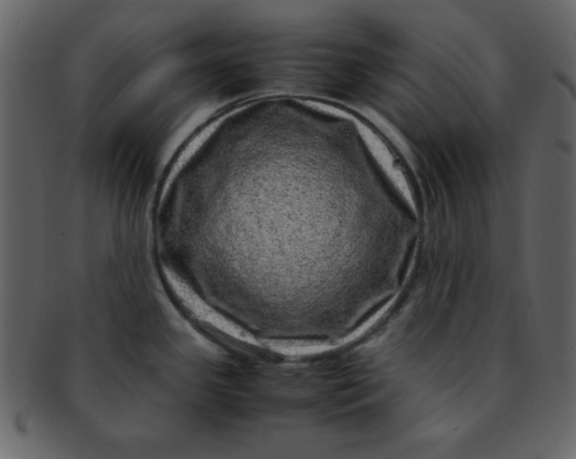 X0000093121341200710171237