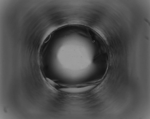 X0000093121342200710171237