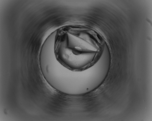 X0000093121344200710171237