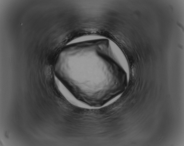 X0000093121347200710171236