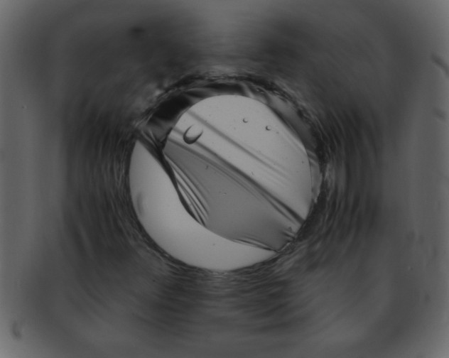 X0000093121348200710171236