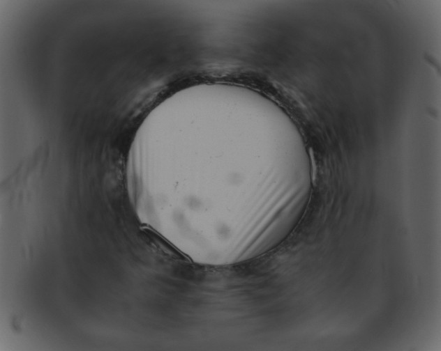 X0000093121349200710171236