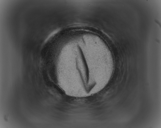 X0000093121351200710171236