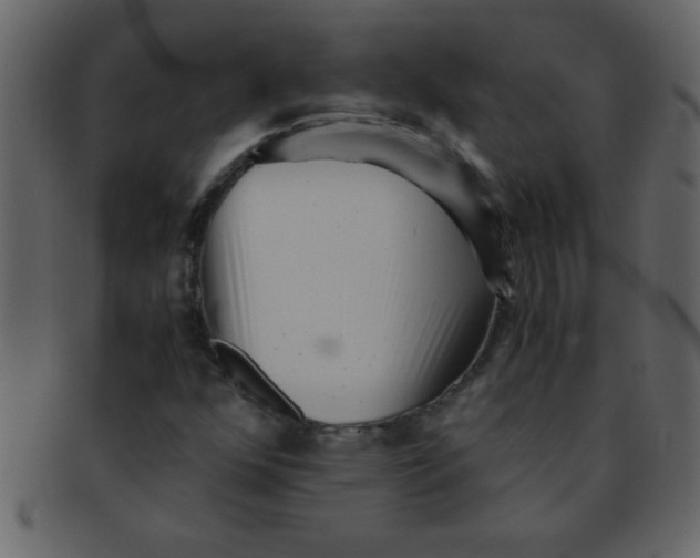 X0000093121352200710171236