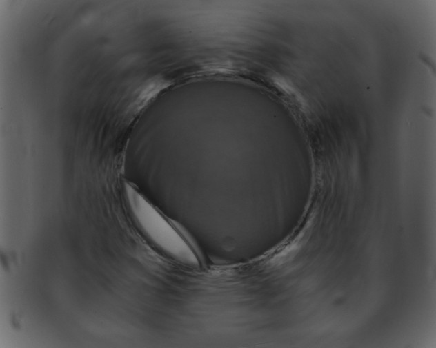 X0000093121353200710171236