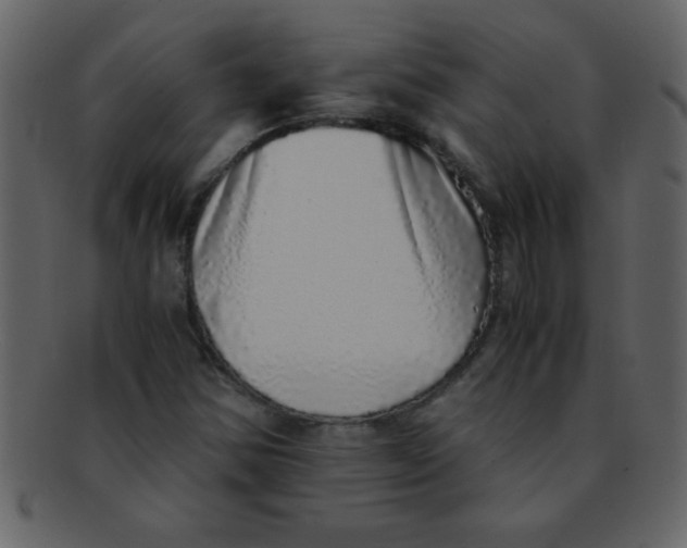 X0000093121354200710171236