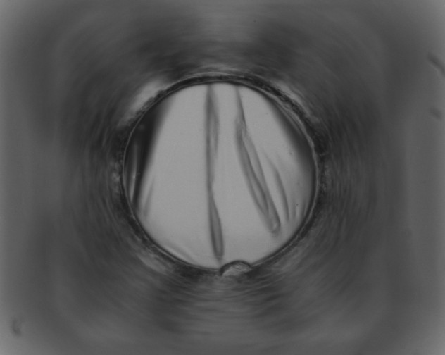 X0000093121355200710171236