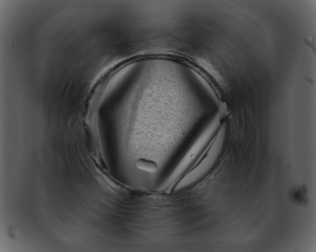 X0000093121356200710171236