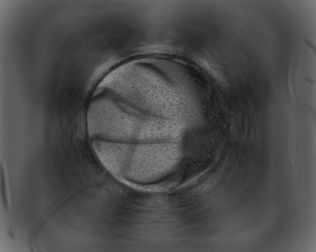 X0000093121358200710171236