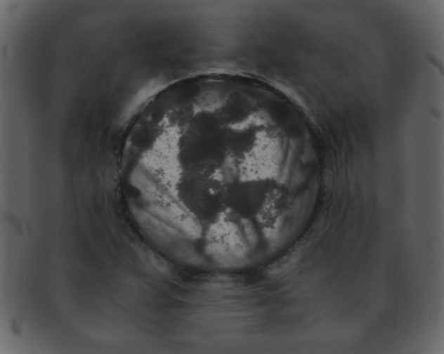 X0000093121359200710171236