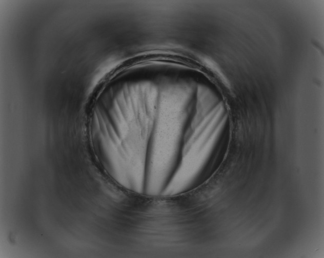 X0000093121360200710171236