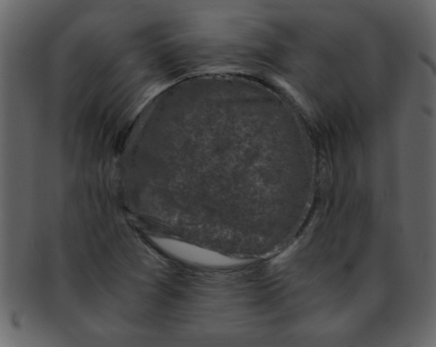 X0000093121361200710171236