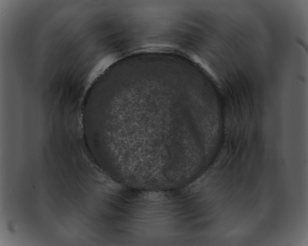 X0000093121362200710171236