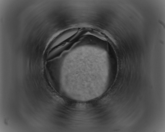 X0000093121364200710171236