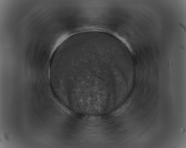 X0000093121365200710171236