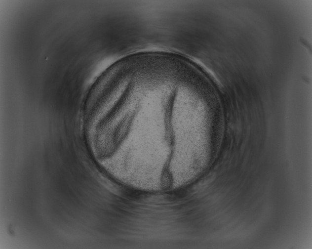 X0000093121367200710171236