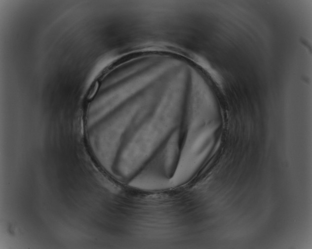 X0000093121368200710171236