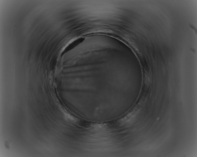 X0000093121369200710171236