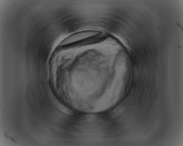 X0000093121371200710171236